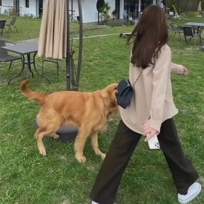 爱，让悲伤终结